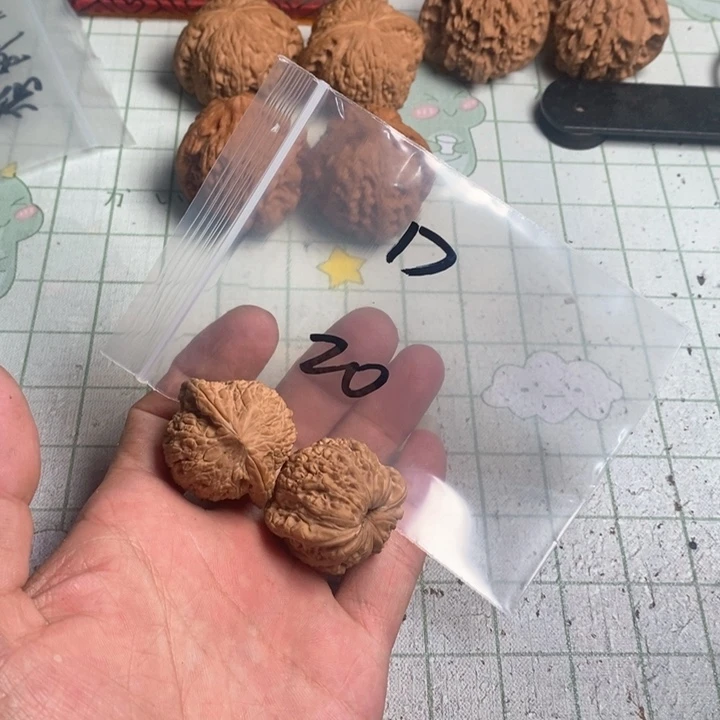 文玩核桃把件D核桃