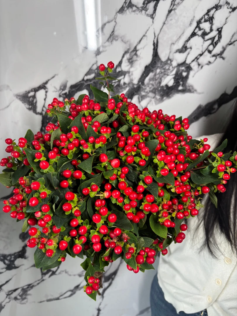 【小众花材】云南鲜花可做手捧花家居水养香思雪果香思果鲜切花基地