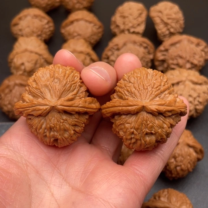 文玩核桃吊坠志*白狮子42尺全品