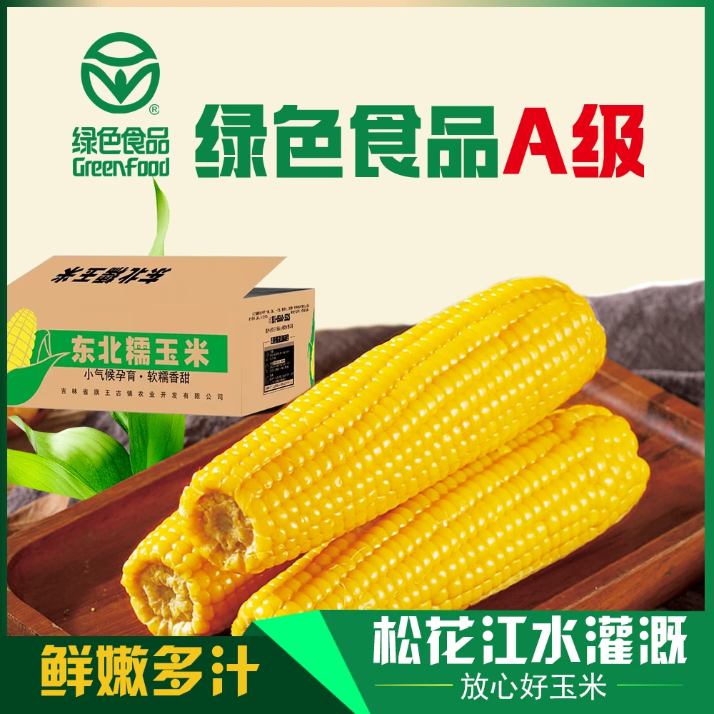 试吃六根】绿色A级锡纸黄糯玉米新采2024东北糯玉米10支整箱5斤