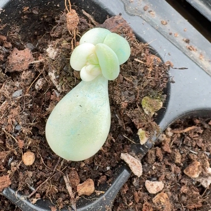 福袋福袋福袋福袋福袋福袋
