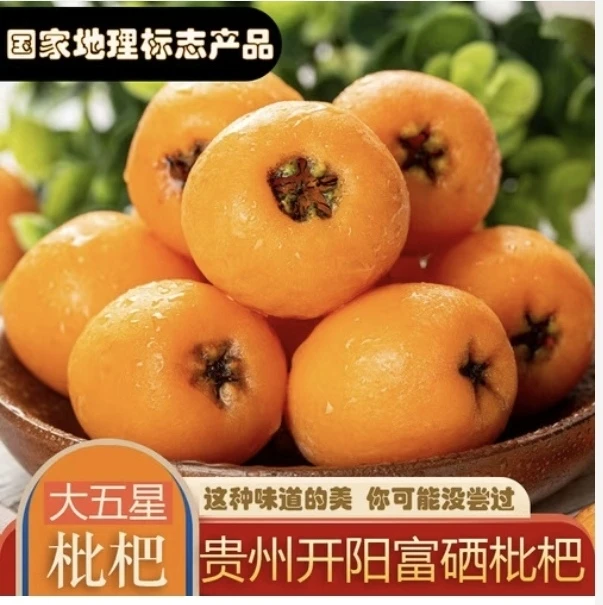 开阳富硒五星枇杷当季现摘新鲜水果果园直发