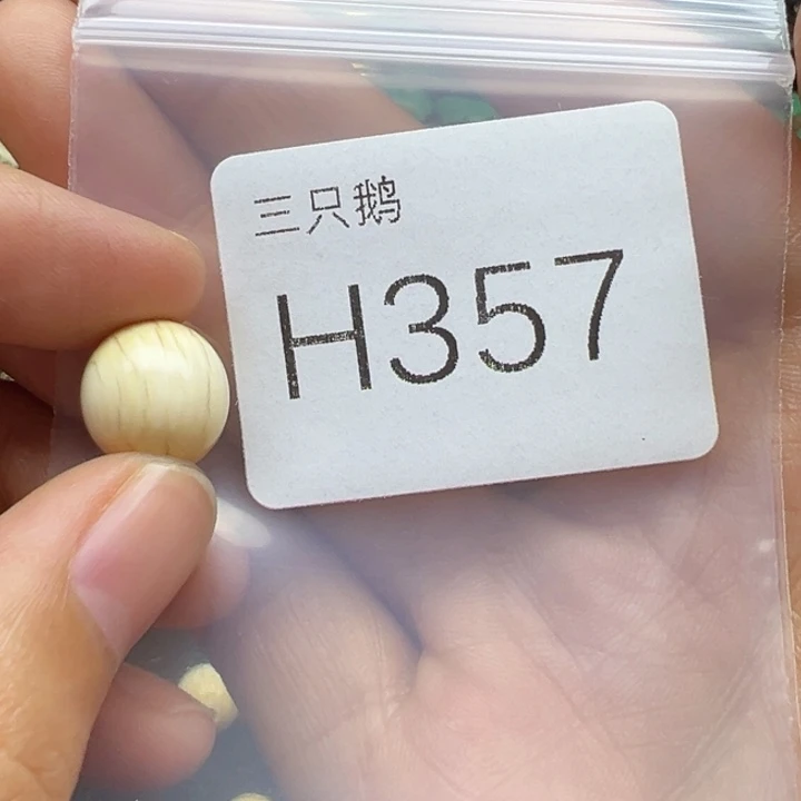 菩提根/象牙果吊坠