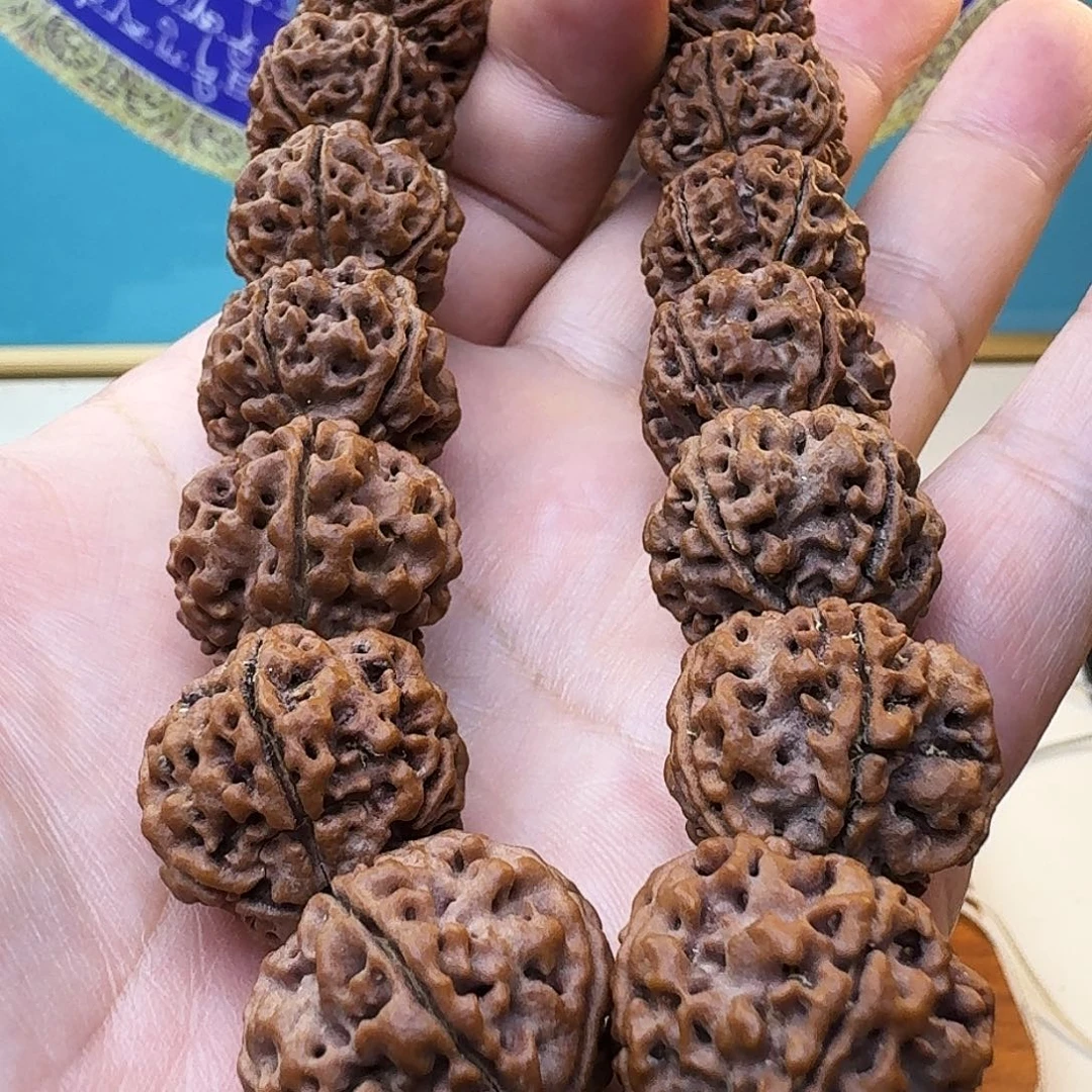 金刚菩提吊坠原生态大金刚双龙