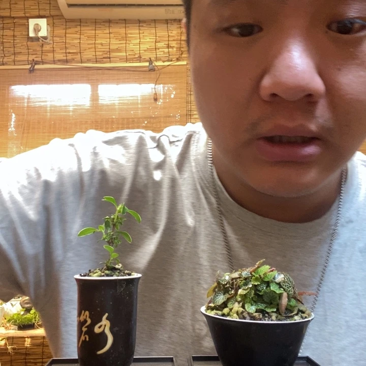 一物一拍所见即所得201