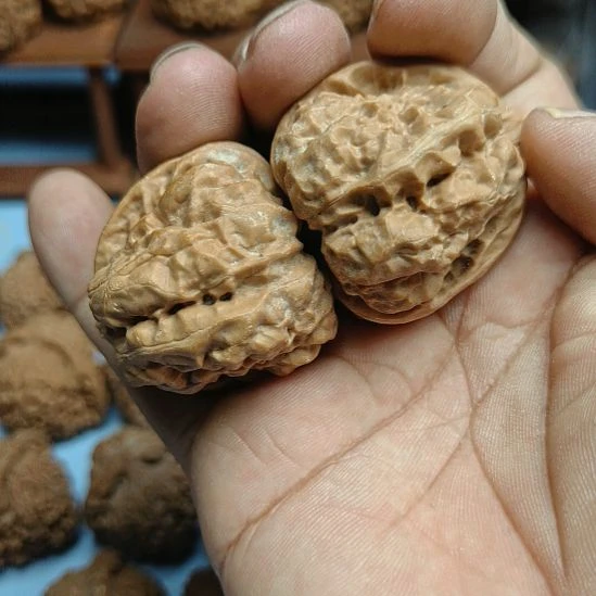 奥***卡完全开放蛤蟆头核桃