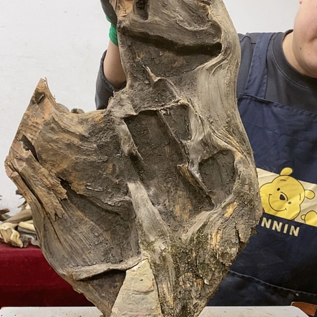 【闪购商品】柏木山****王我们都是好孩子