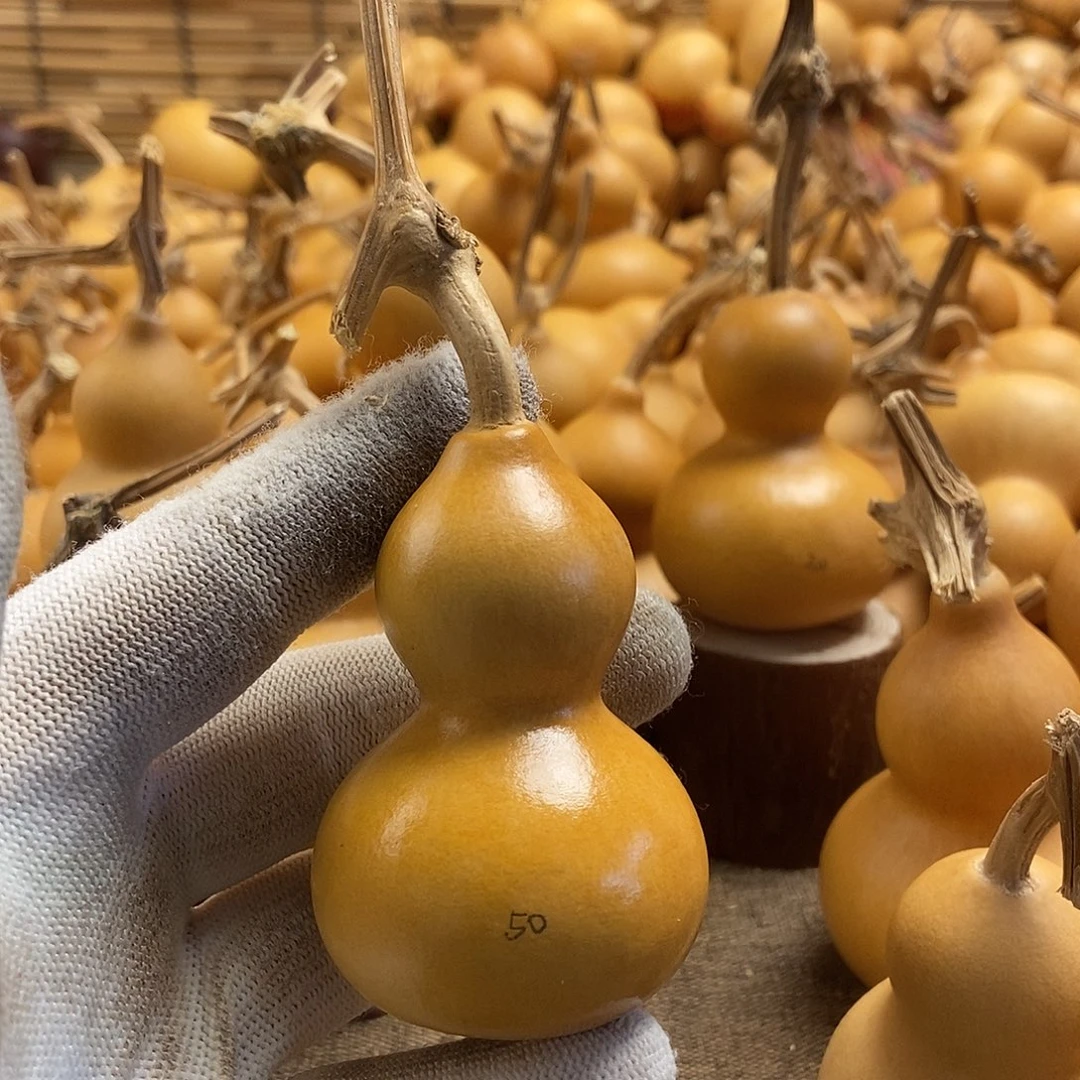文玩葫芦 完美主义者 慎拍50