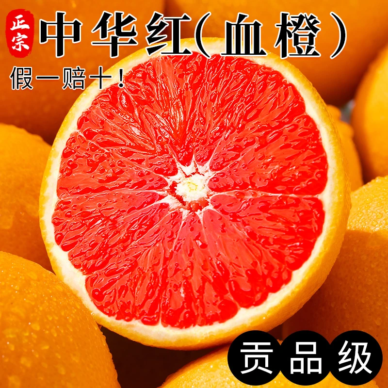 正宗中华血橙高山血橙新鲜水果整箱装酸甜可口现摘现发果冻橘橙子