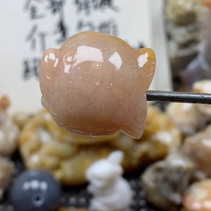 颈饰未镶嵌硅化珊瑚（珊瑚玉）