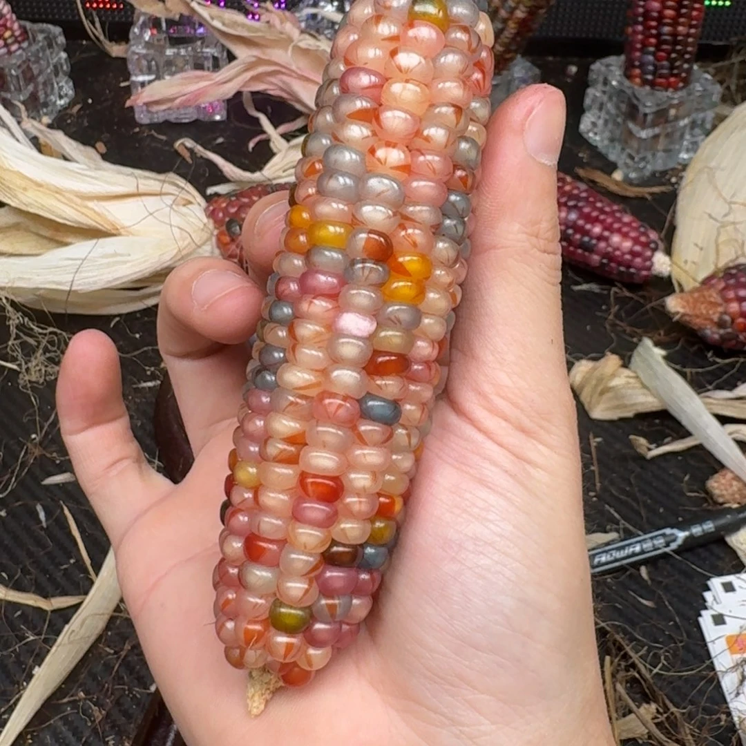 柏香籽/百香籽吊坠草*儿