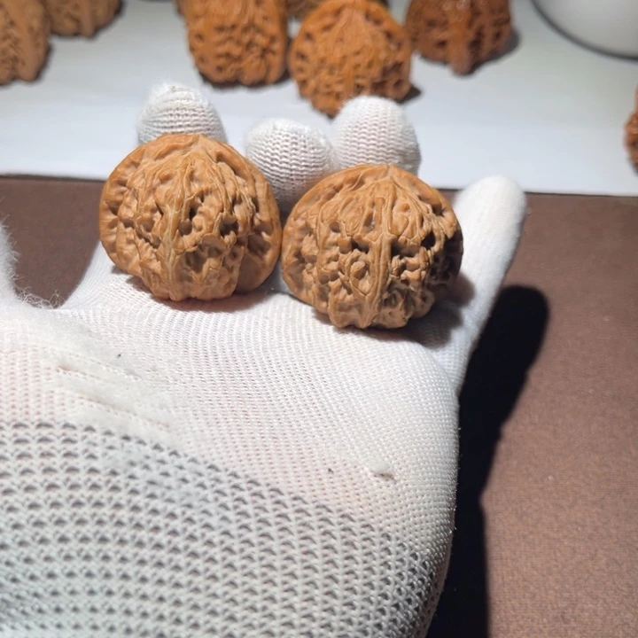 有***思精品白狮子39尺码