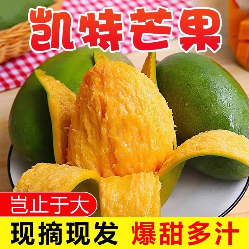 四川攀枝花凯特芒果大果新鲜水果批发整箱凯特大芒果