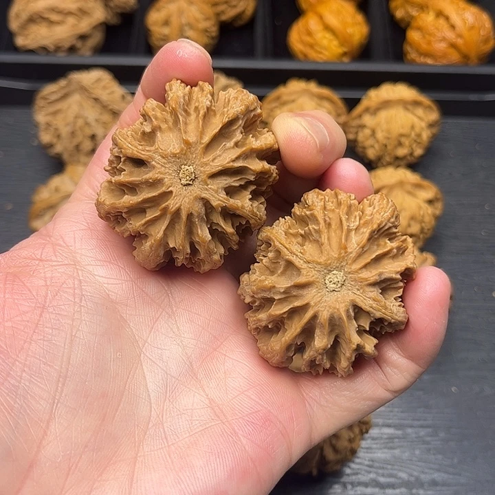 核桃秦岭山脉中段怒江与澜沧江