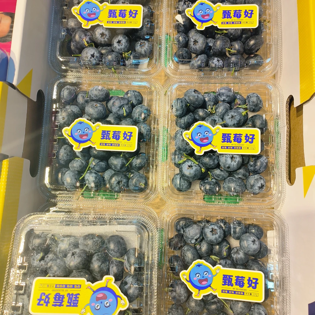 丹东甄莓好大粒枝冠蓝莓125克  （21mm+）