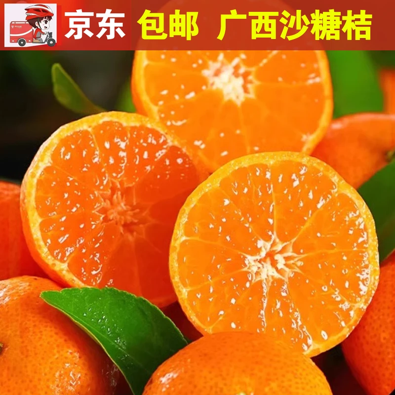 【次日达】一整箱广西沙糖桔新鲜采摘带枝带叶京东快递发货9甜1酸入口化渣当天下单第二天到货