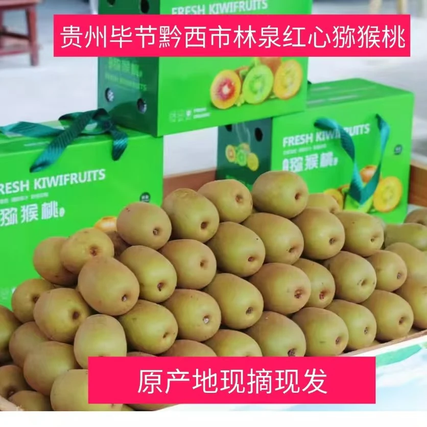 正宗贵州毕节黔西林泉红心猕猴桃新鲜当季水果多汁营养丰富