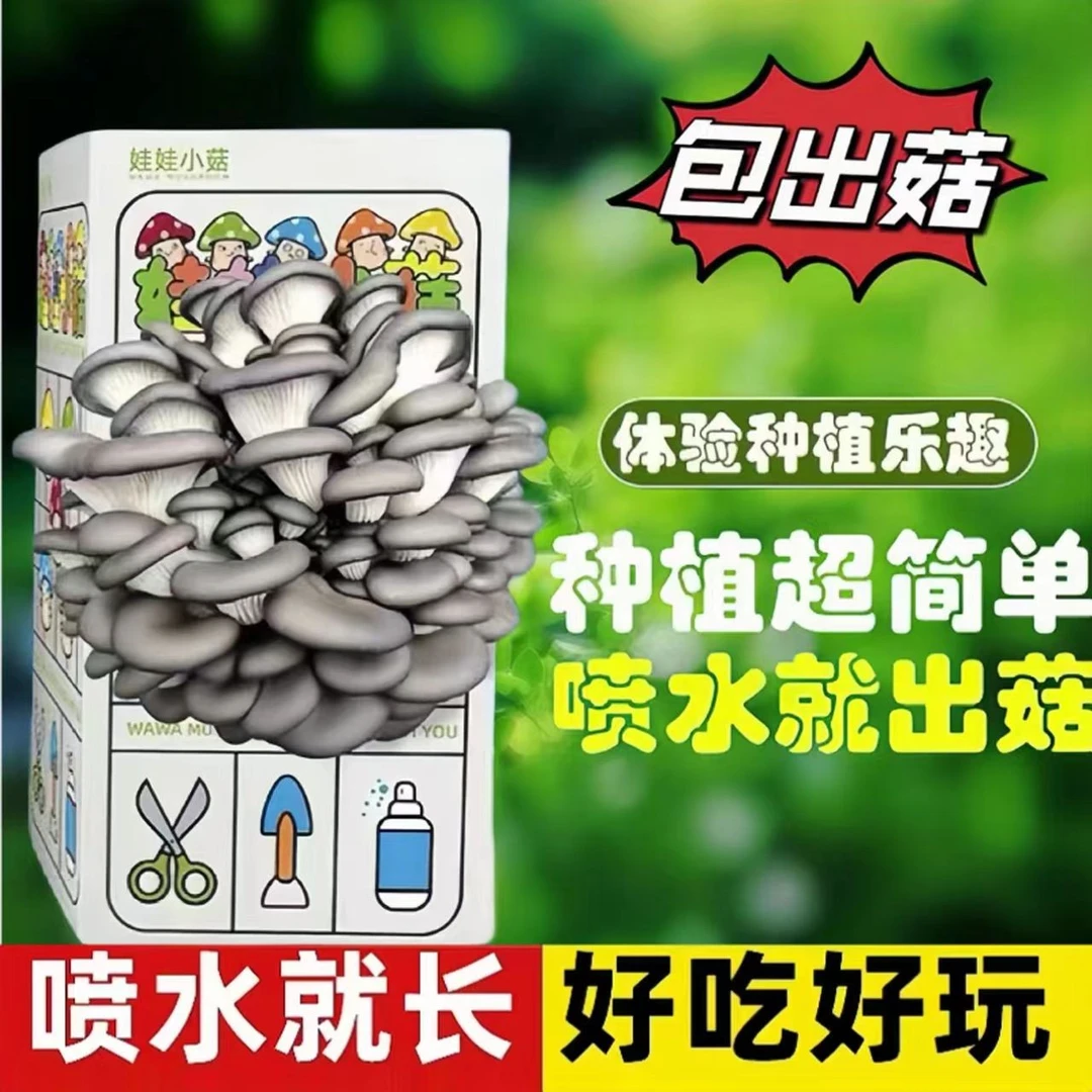 蘑菇菌包种植盒儿童家庭种植植物生长观察日记科学小实验益智玩具