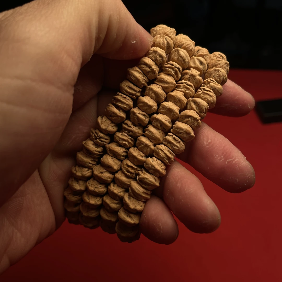 热振柏香籽白牙斜切巨口大尺寸