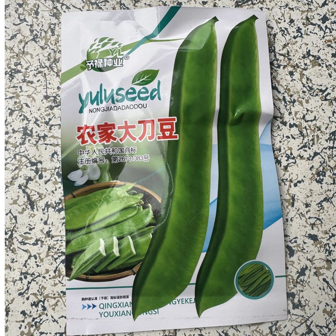春秋种植农家大刀豆