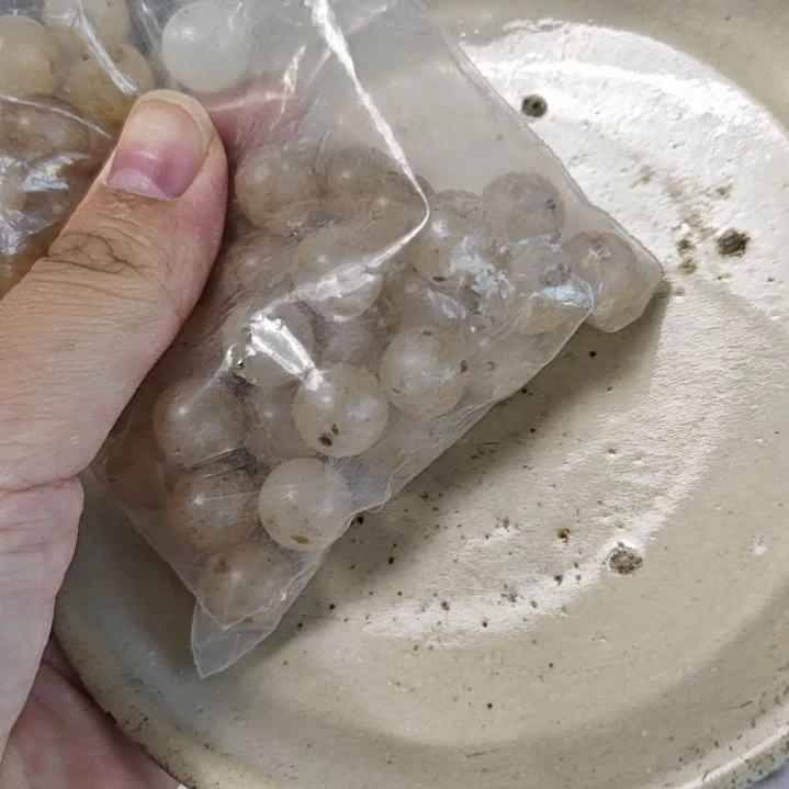 瓷片瓷器11111111111瓷