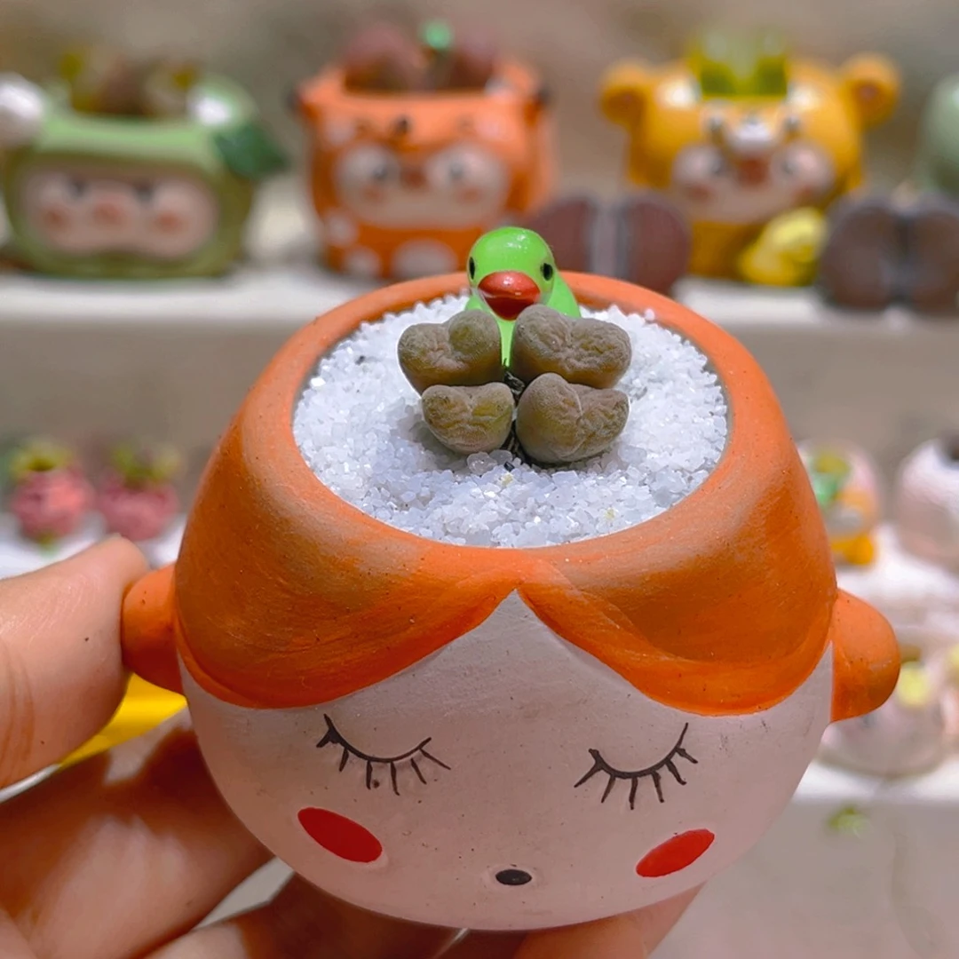 100空卡佛四头带盆带土手工盆