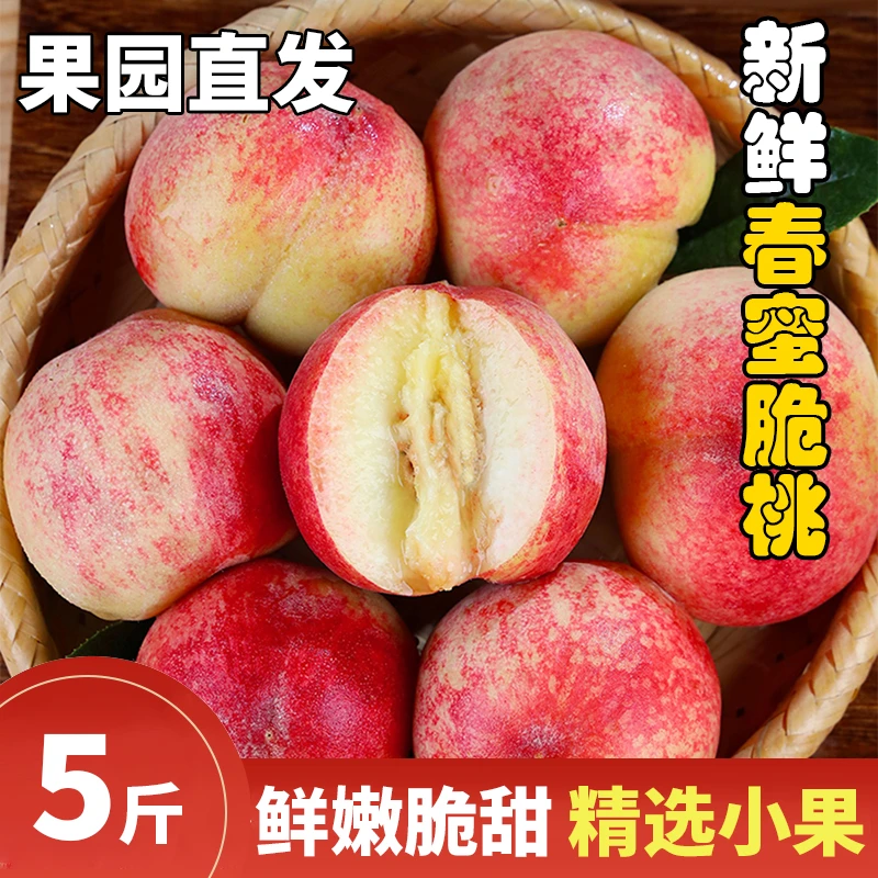【鲜嫩脆甜】砀山春蜜新鲜脆桃现摘现发水蜜桃毛桃当季水果小桃子