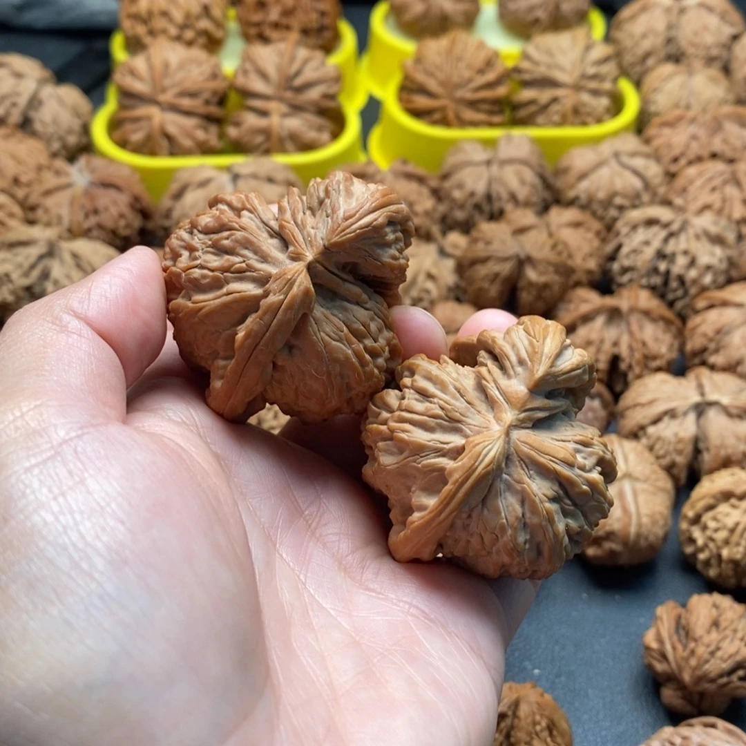 文玩核桃把件49白狮子角