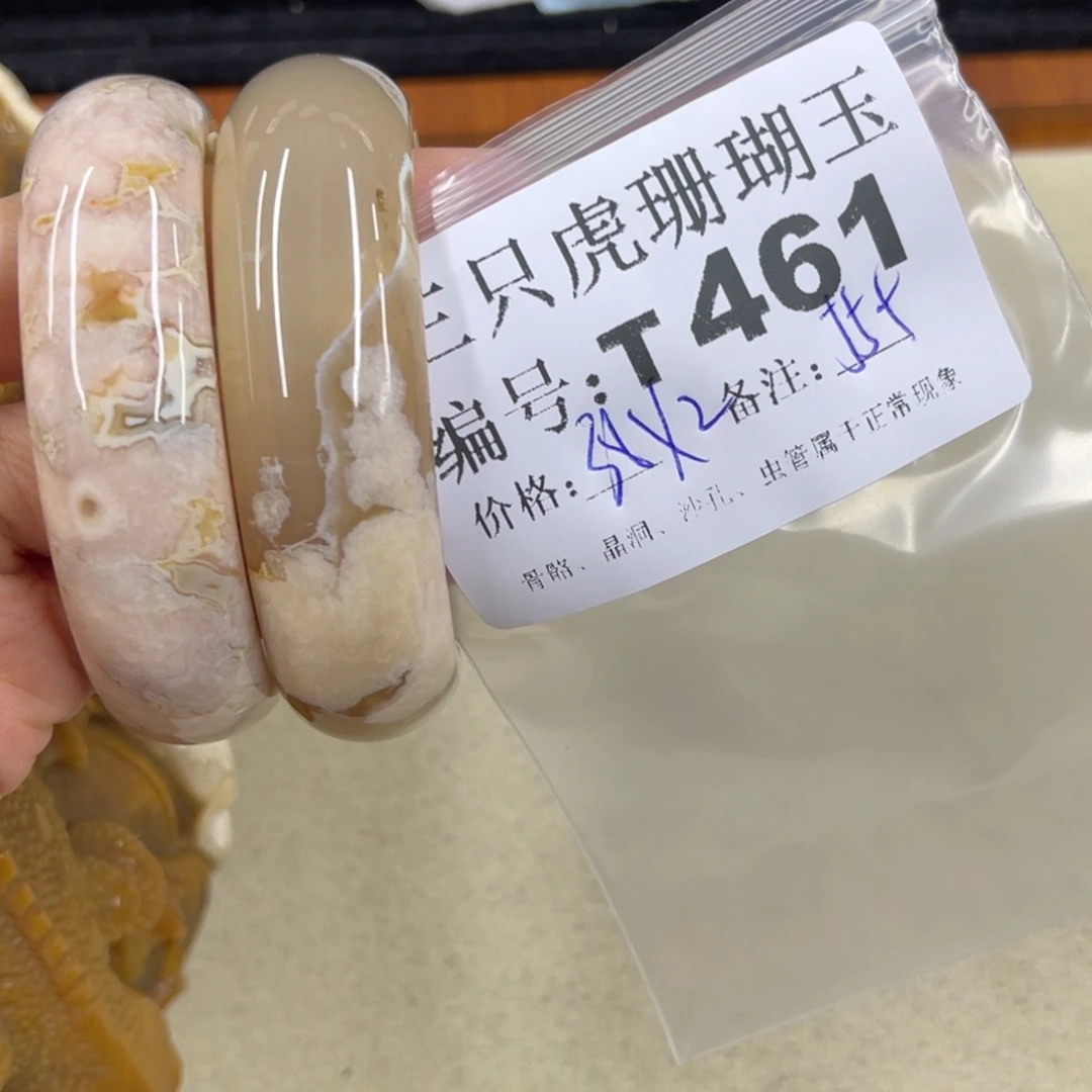@***猪硅化珊瑚（珊瑚玉）h未镶嵌