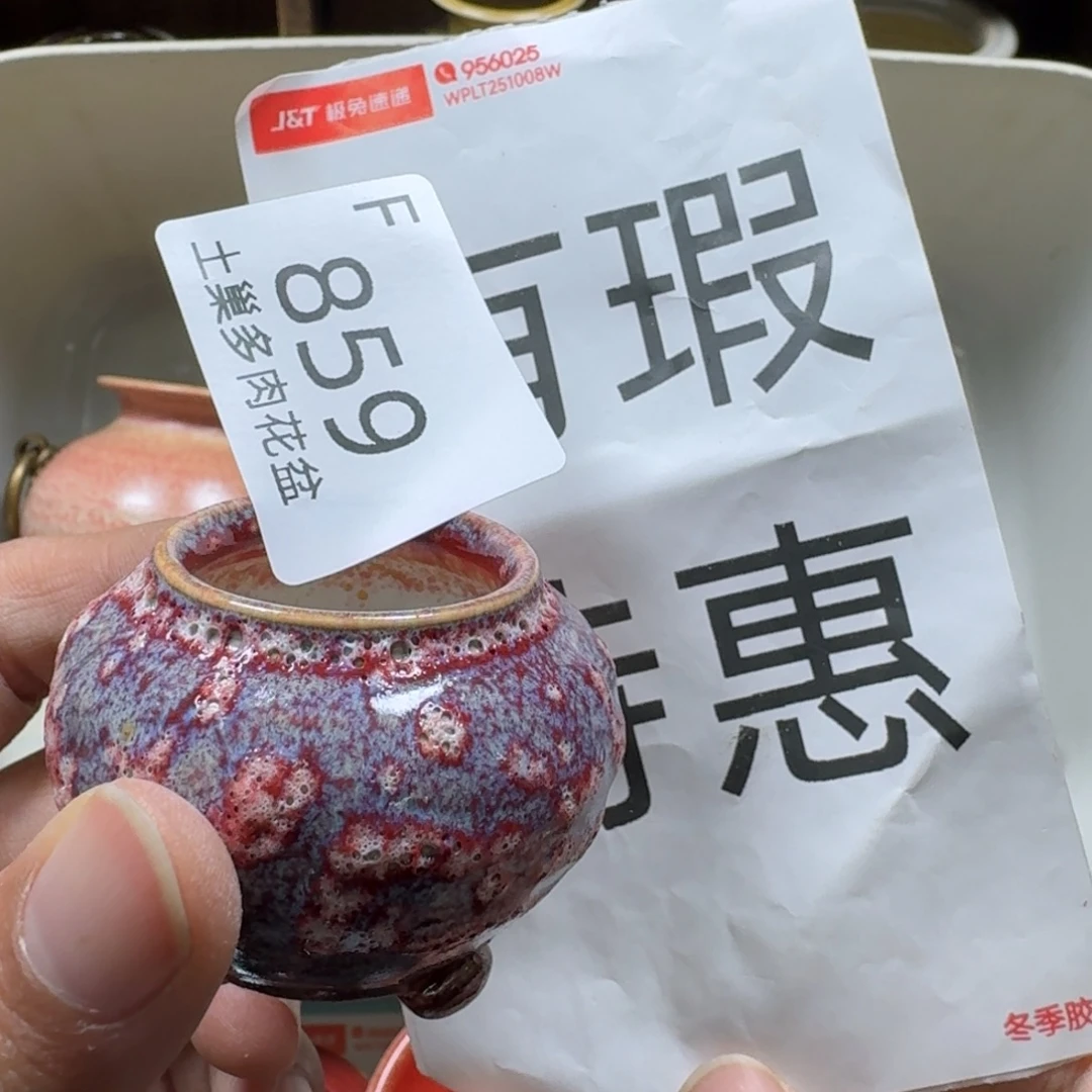 甜***菜陶瓷艺术品设计与制作