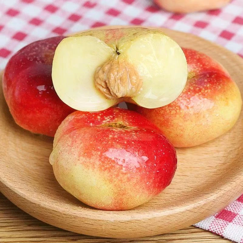 ~【次日达】山东蒙阴油蟠桃现摘现发3斤/5斤净重（±2两） 新鲜采摘 当季新鲜水果桃子山东省山东省