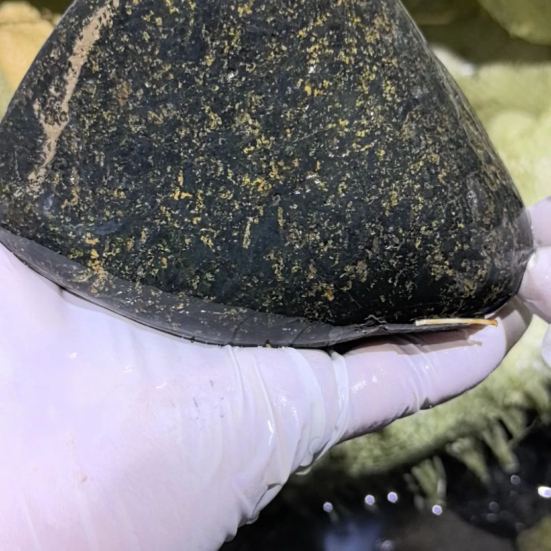 文***阁藏玉药王石原石一个