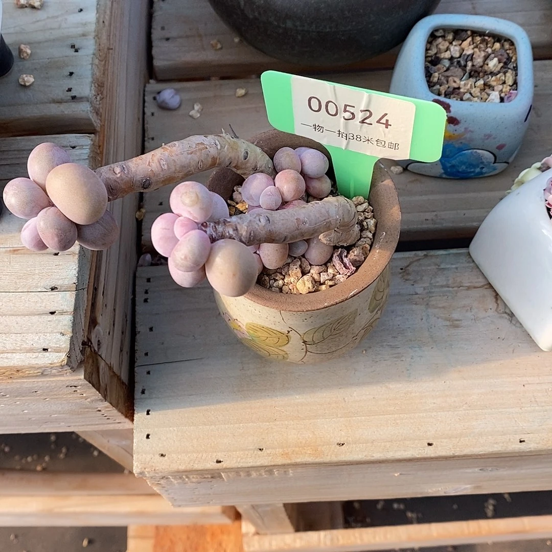 H***璐524肉烧烤楼咯哦哦哦哦哦