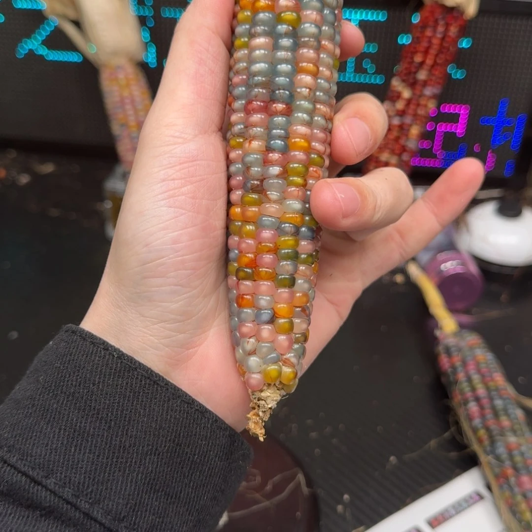 柏香籽/百香籽吊坠米***?