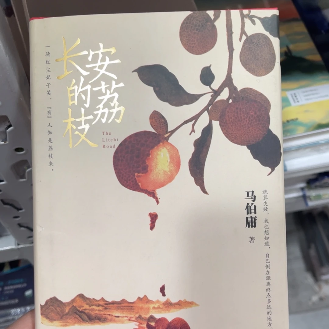 长安的荔枝精装一个