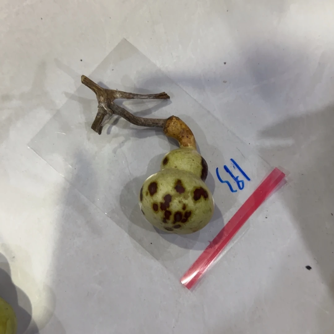 蕉***雨青皮不包成青皮不包成