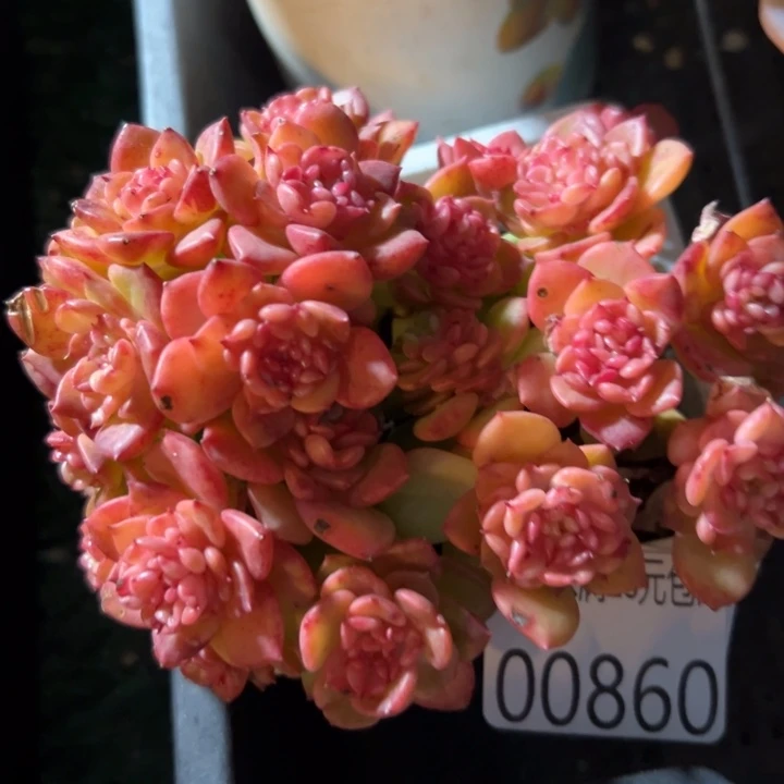 幸运的是我还没遇到过