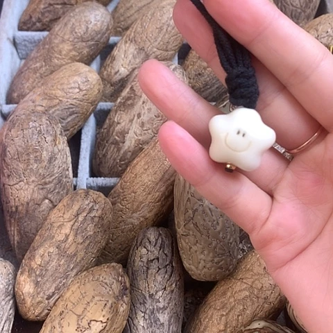 椰蒂吊坠象牙果星星