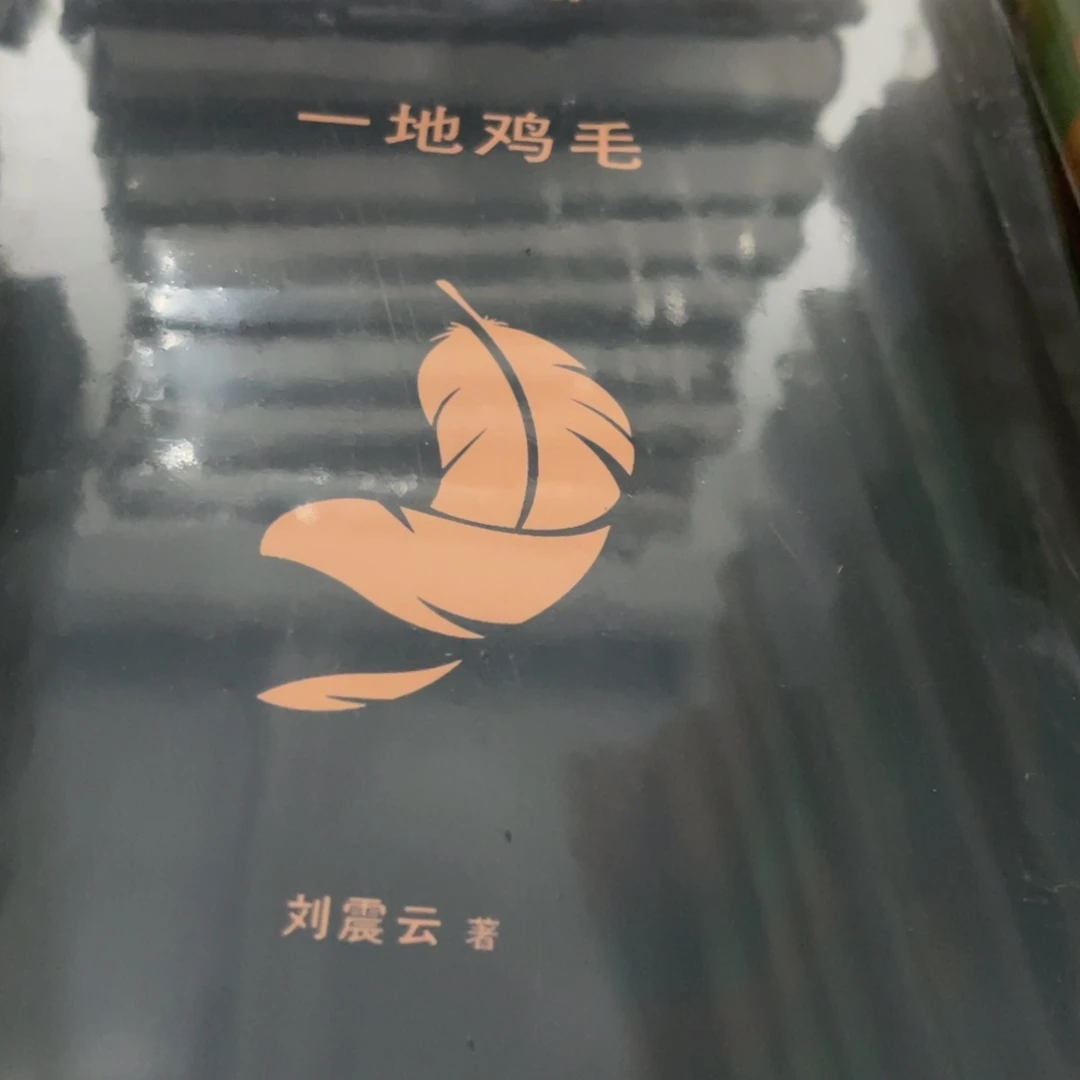 一地鸡毛精装一个