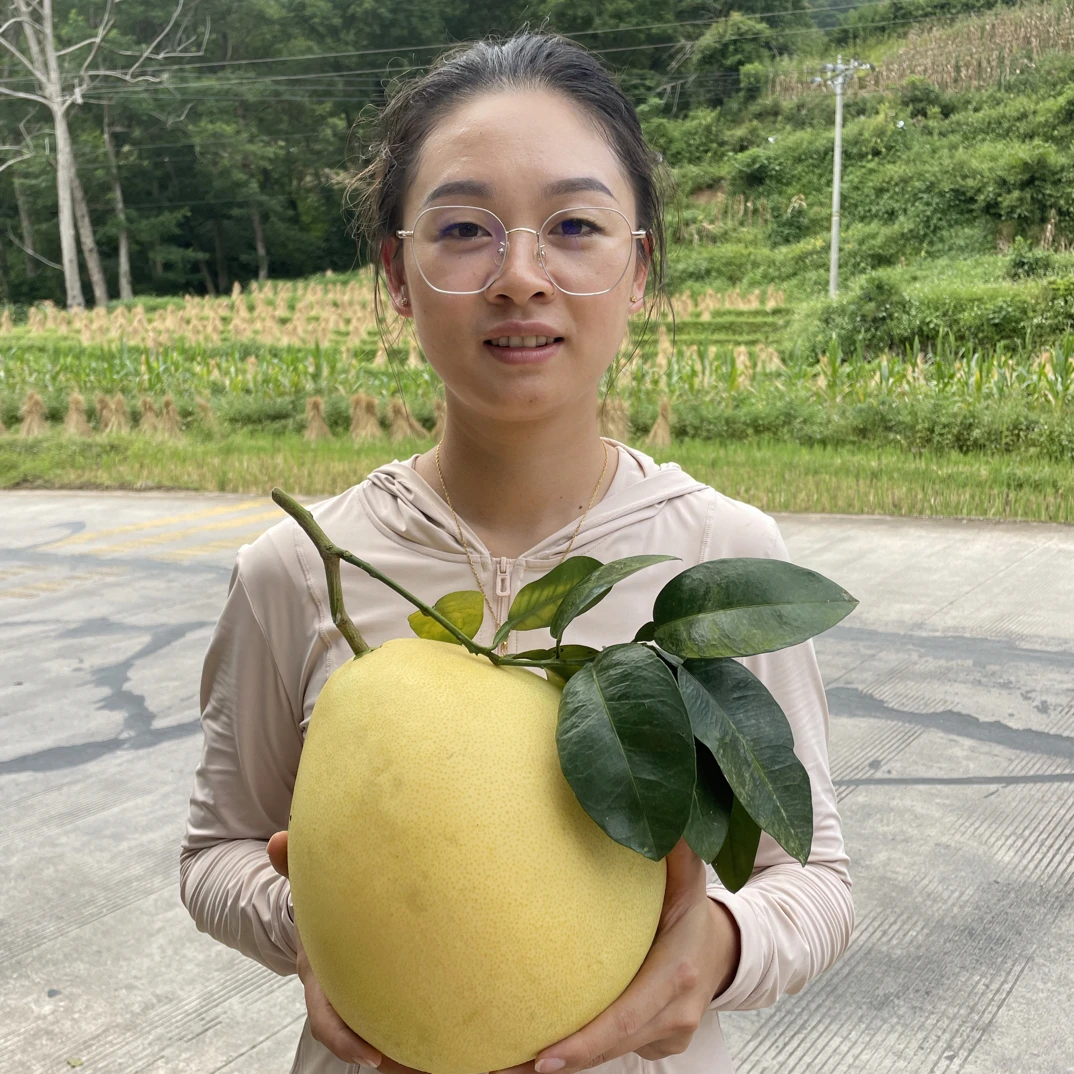 【小露夫妇专属】红心蜜柚