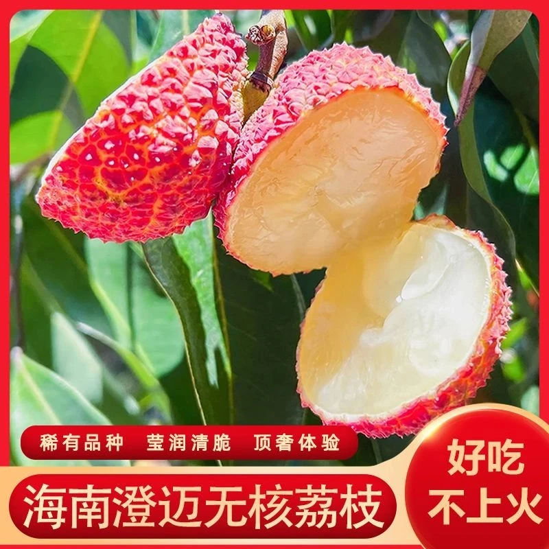 【京东空运现货】海南无核荔枝高端新鲜采摘