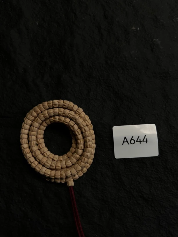 热振柏香籽 奶油皮斜切大肠A644