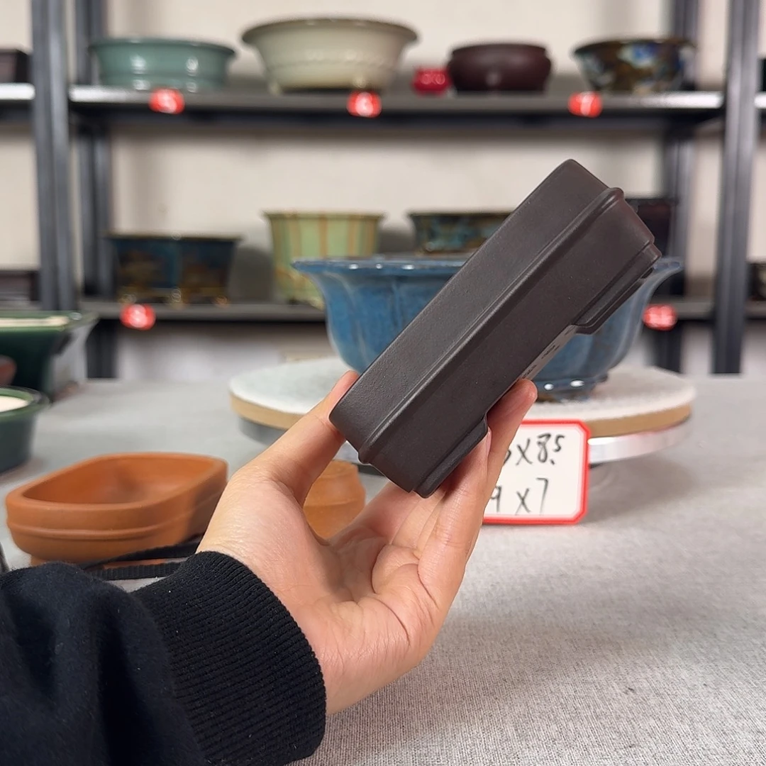 四***豆紫砂花盆哈哈哈哈哈