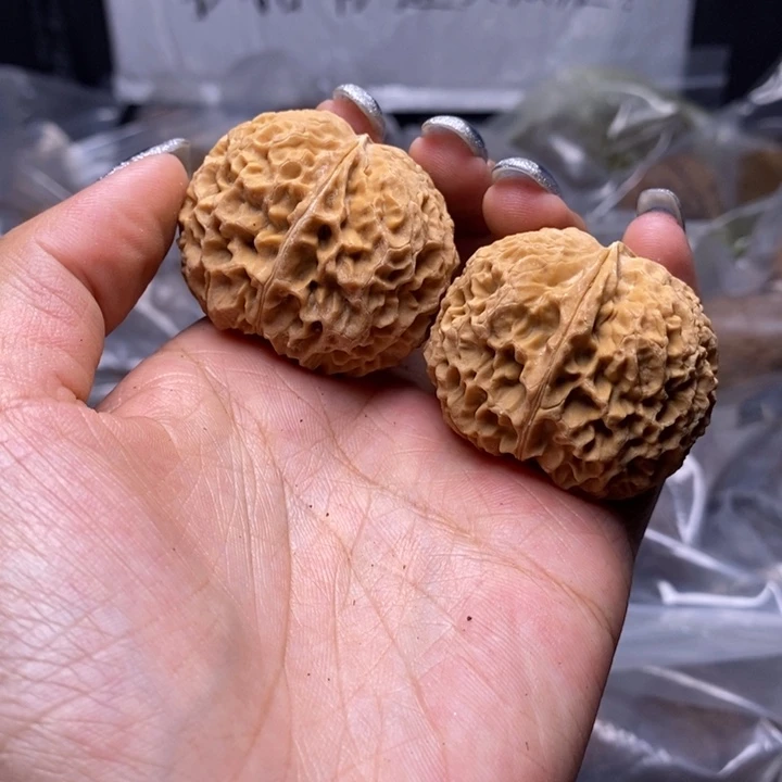 核桃云南野生铁核桃55号41mm