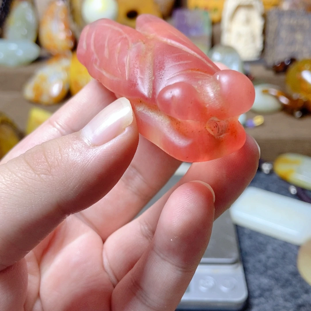 白玉菩提吊坠收藏