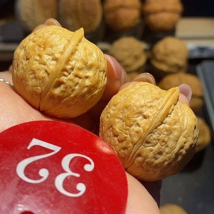核桃蜜桃核桃尺寸29