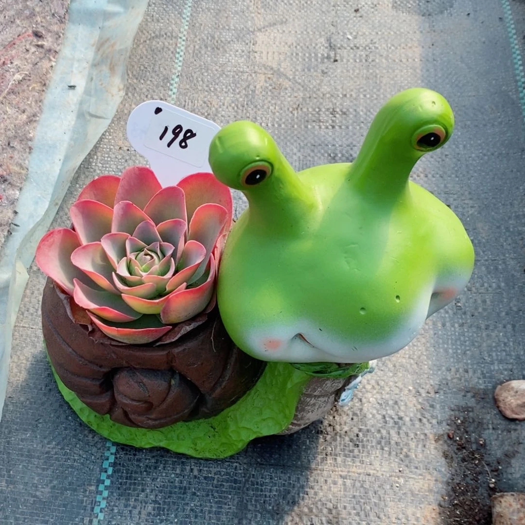 酱紫。   母本。 蜗牛一套。