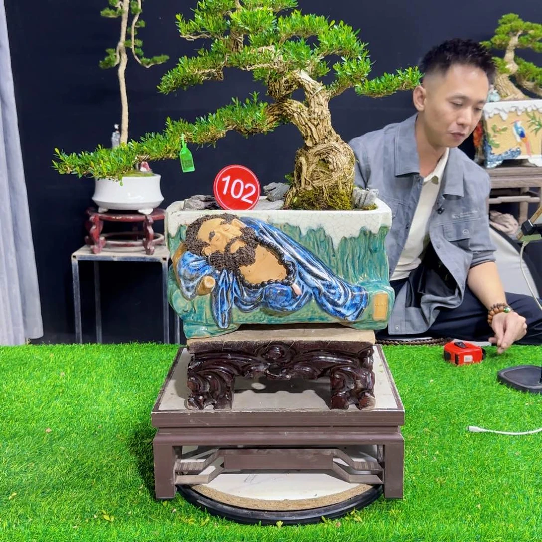 当前无花朵，栽培后可花朵