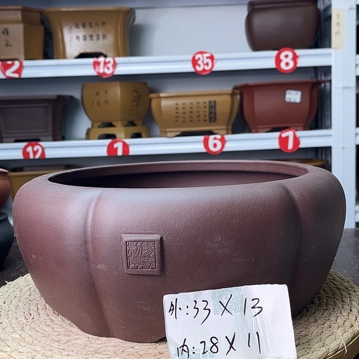 花盆紫砂你在一起