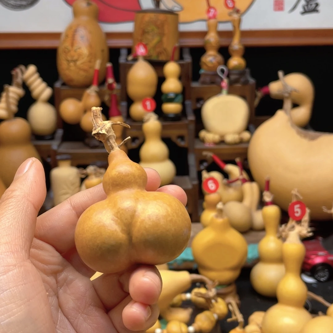 颐**姥大自然的秘密是什么呢